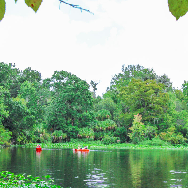 Kayak Rentals